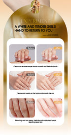 Moisturizing Plant Fragrance Hand Cream Set for Dry Skin