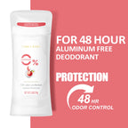 Natural Aluminum-Free Deodorant Stick Set