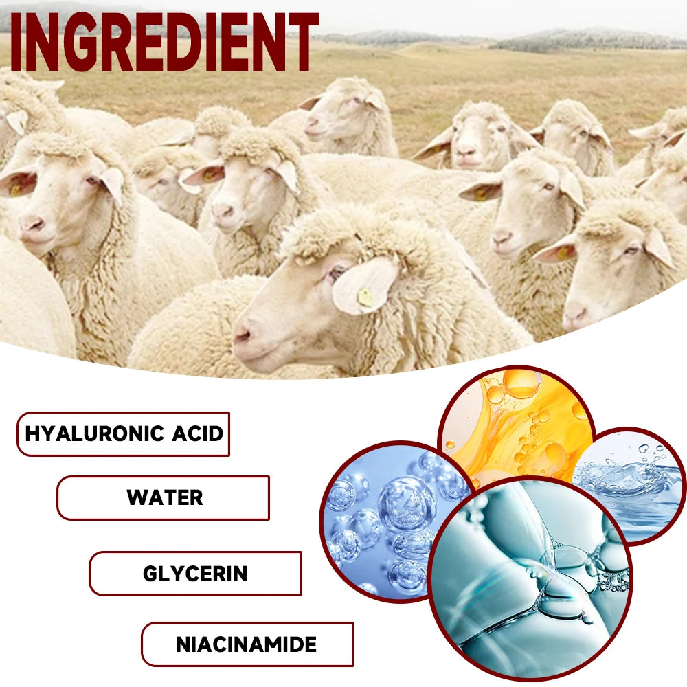 Pure Lanolin Moisturizing Cream for Dry and Sensitive Skin - 2
